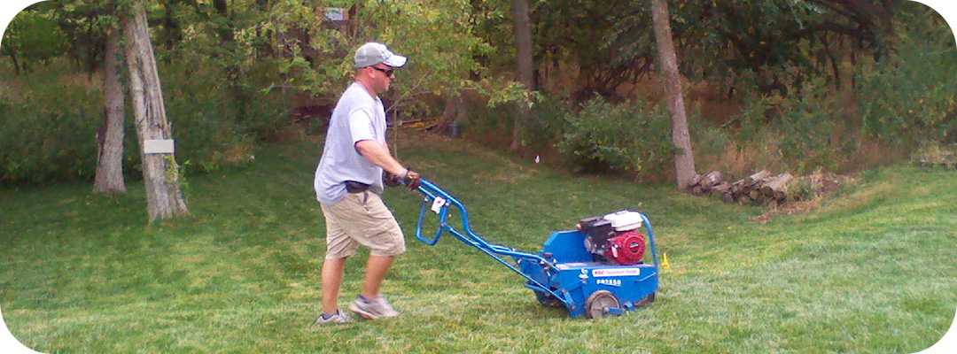 lawn installation-Sod & Seed Yard Installations - Affordable Sprinklers - Wichita, Kansas
